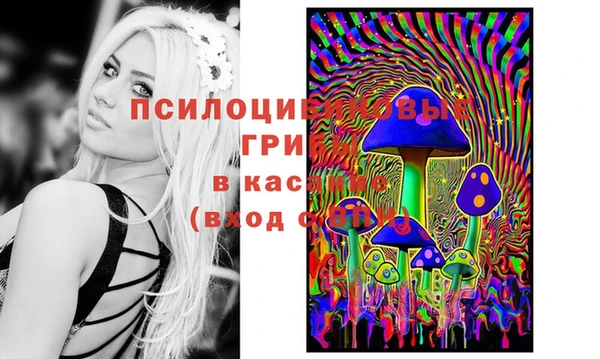наркотики Дмитриев
