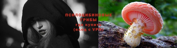 молекула духа Дмитровск