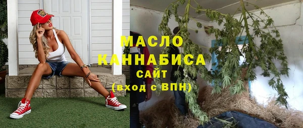молекула духа Дмитровск