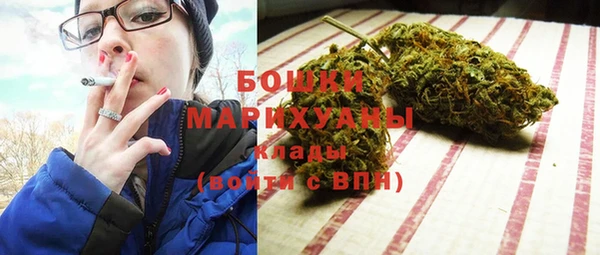 мяу мяу мука Гусь-Хрустальный