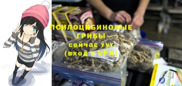 молекула духа Дмитровск