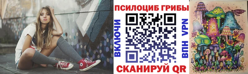 Галлюциногенные грибы Psilocybe  Купить закладки  Карабаш 
